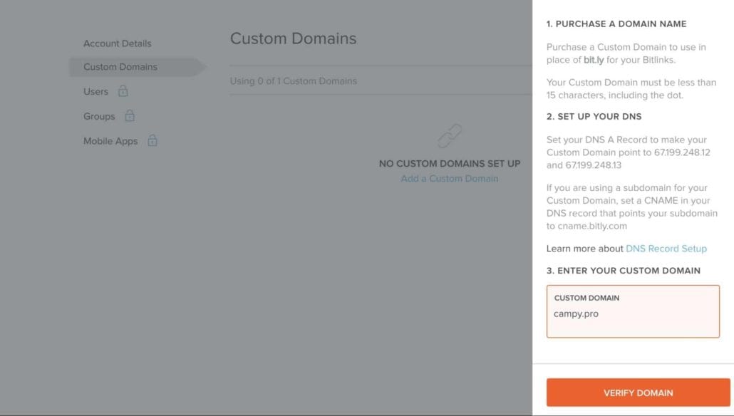 Screenshot — Bitly Add Domain, Custom Domain Properties