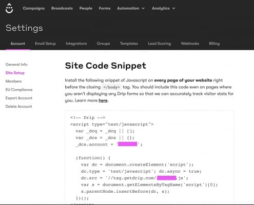 Drip Site Code Snippet screenshot