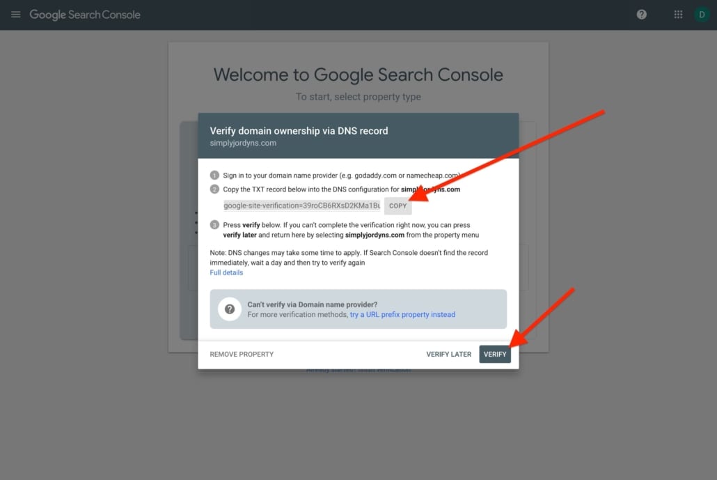 Google Search Console domain ownership verification modal.